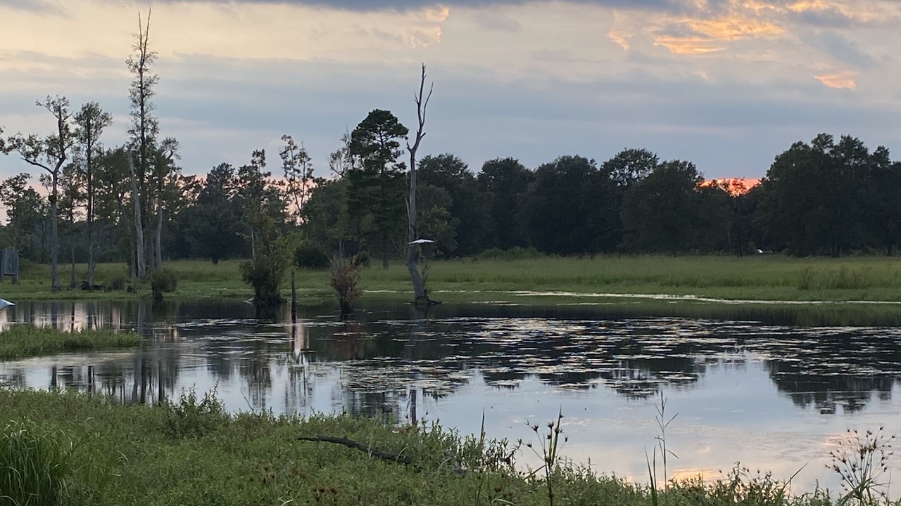 Photo of Others in Dorchester County