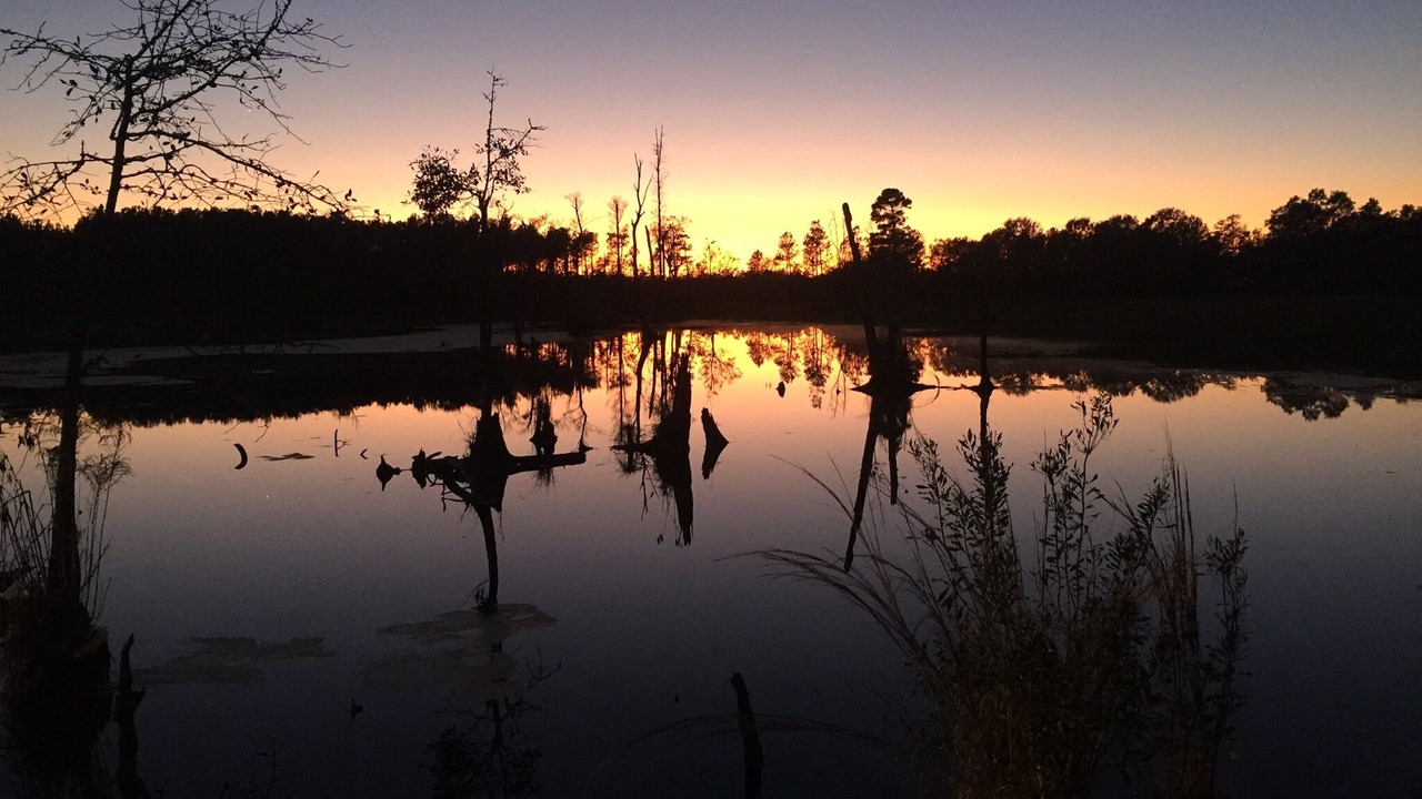 Photo of Others in Dorchester County