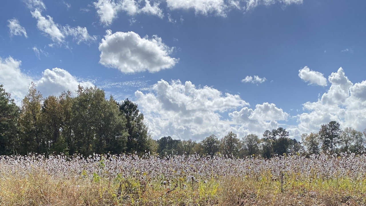 Photo of Outdoor in Dorchester County