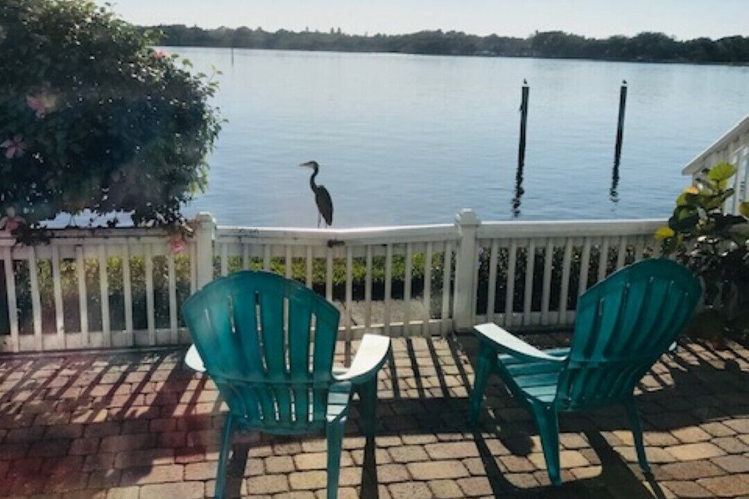 Photo of Outdoor in Coquina Key