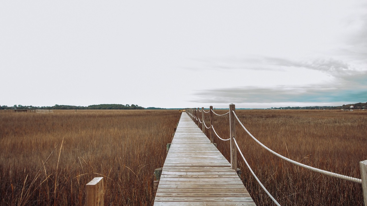 Photo of Others in Seabrook Island