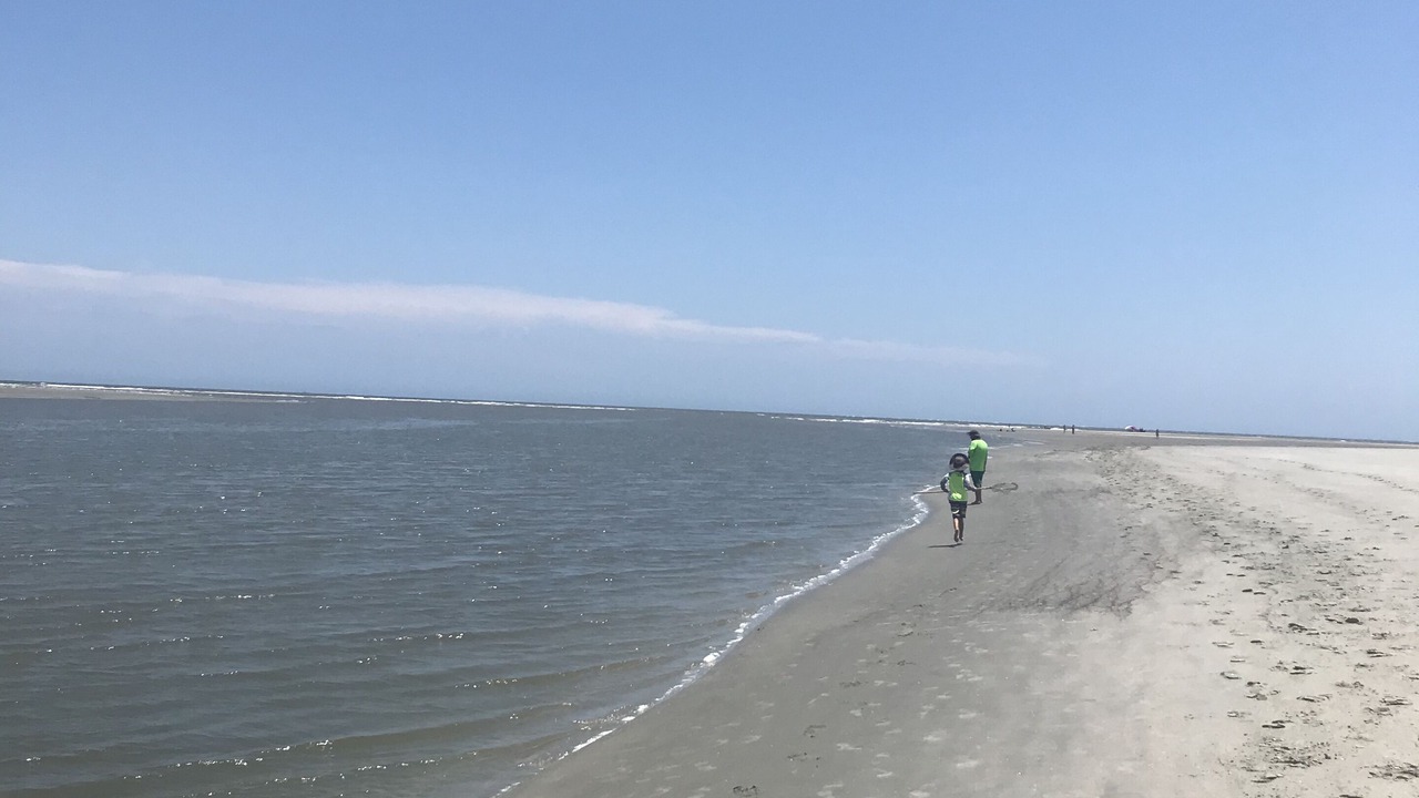 Photo of Others in Seabrook Island