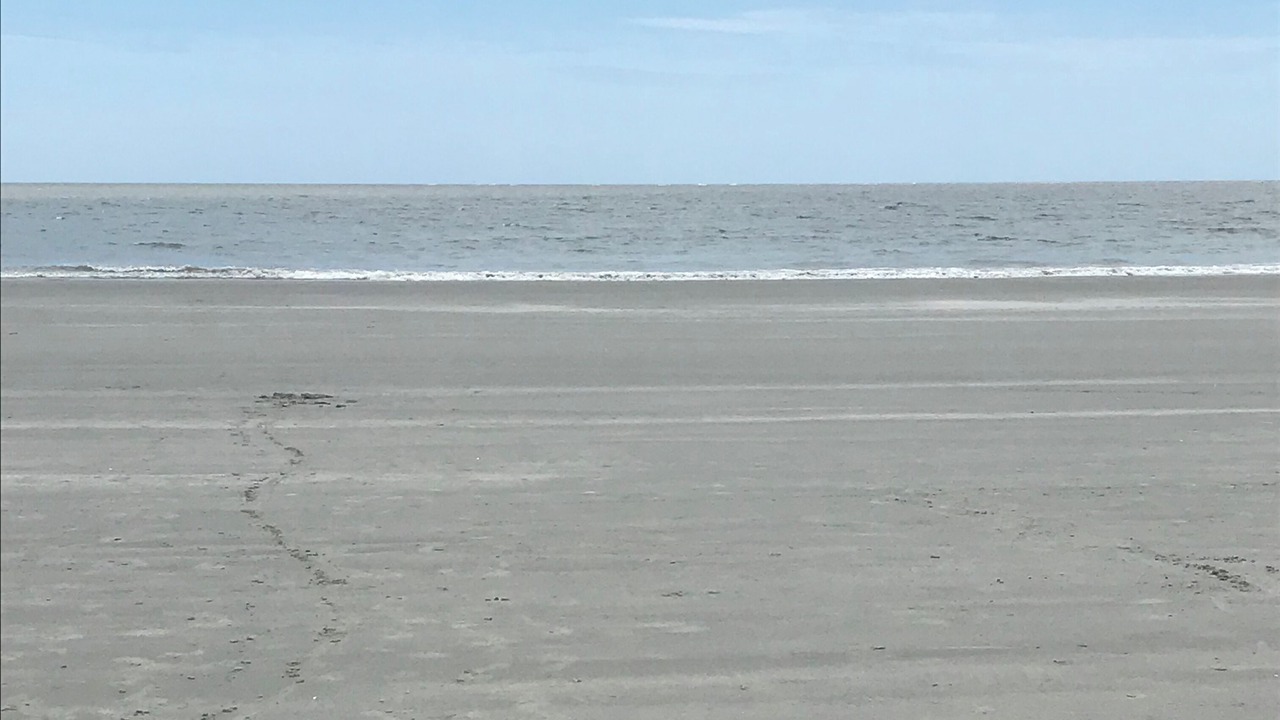 Photo of Others in Seabrook Island