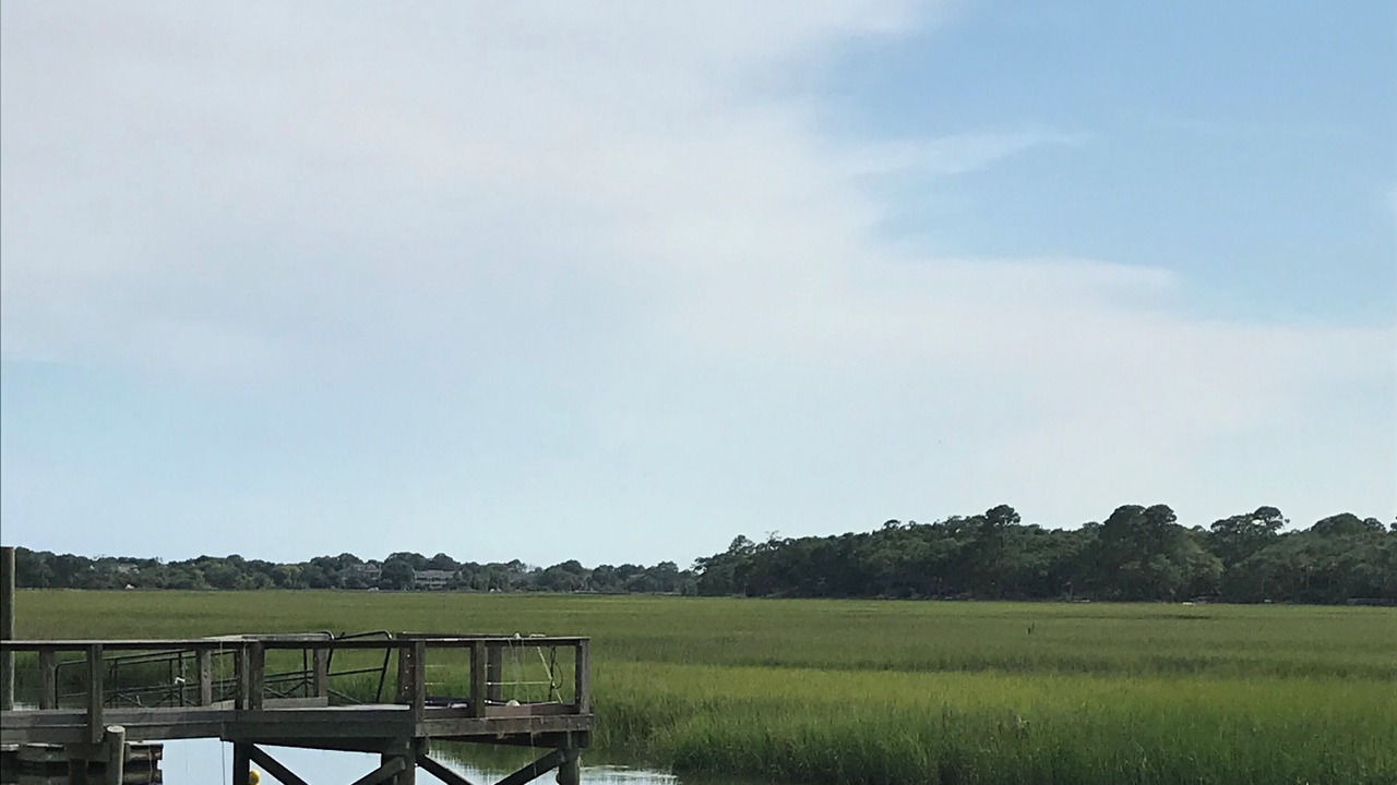 Photo of Others in Seabrook Island