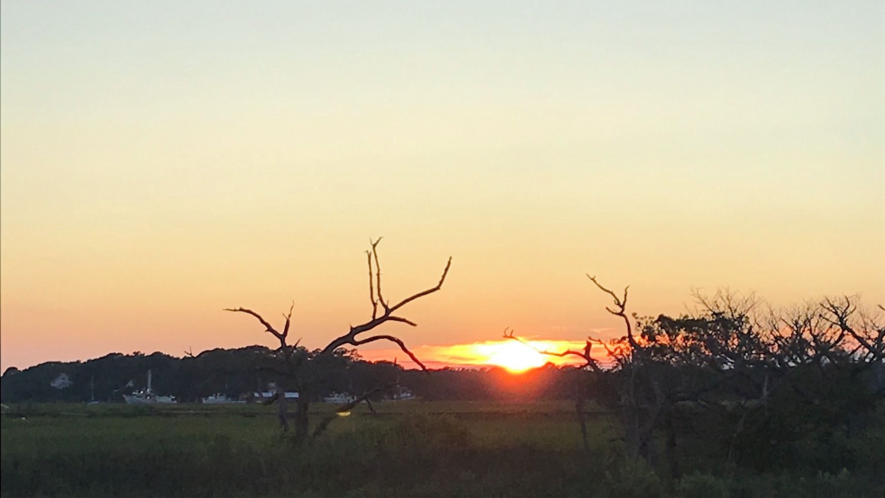 Photo of Outdoor in Seabrook Island