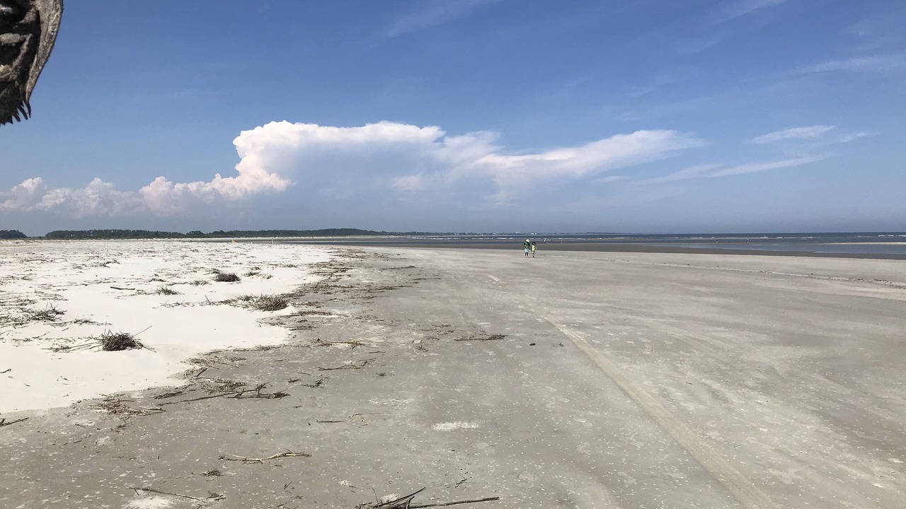 Photo of Others in Seabrook Island