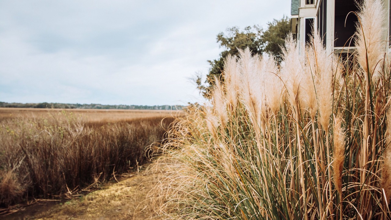 Photo of Outdoor in Seabrook Island