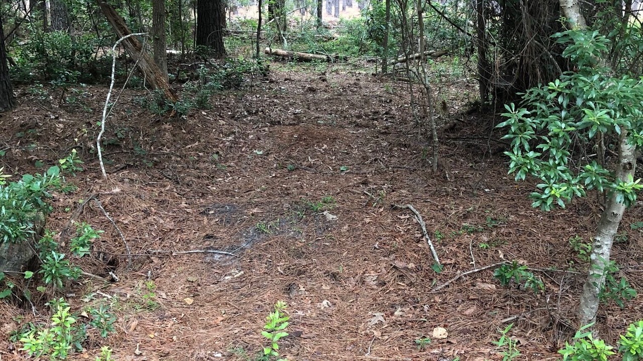 Photo of Others in Ridgeland