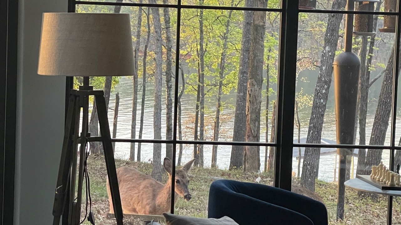Photo of Others in Reed Creek