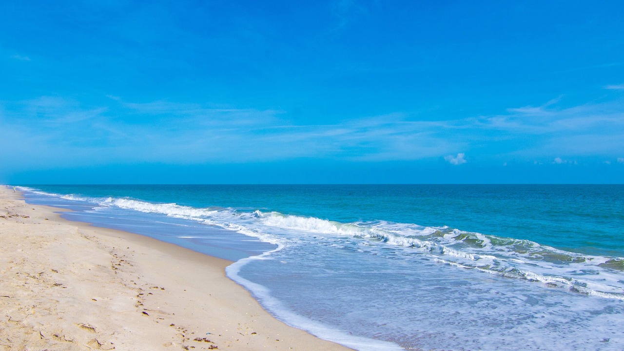 Photo of Others in South Beach