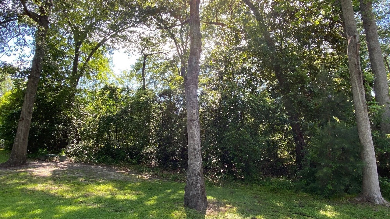 Photo of Outdoor in Lexington