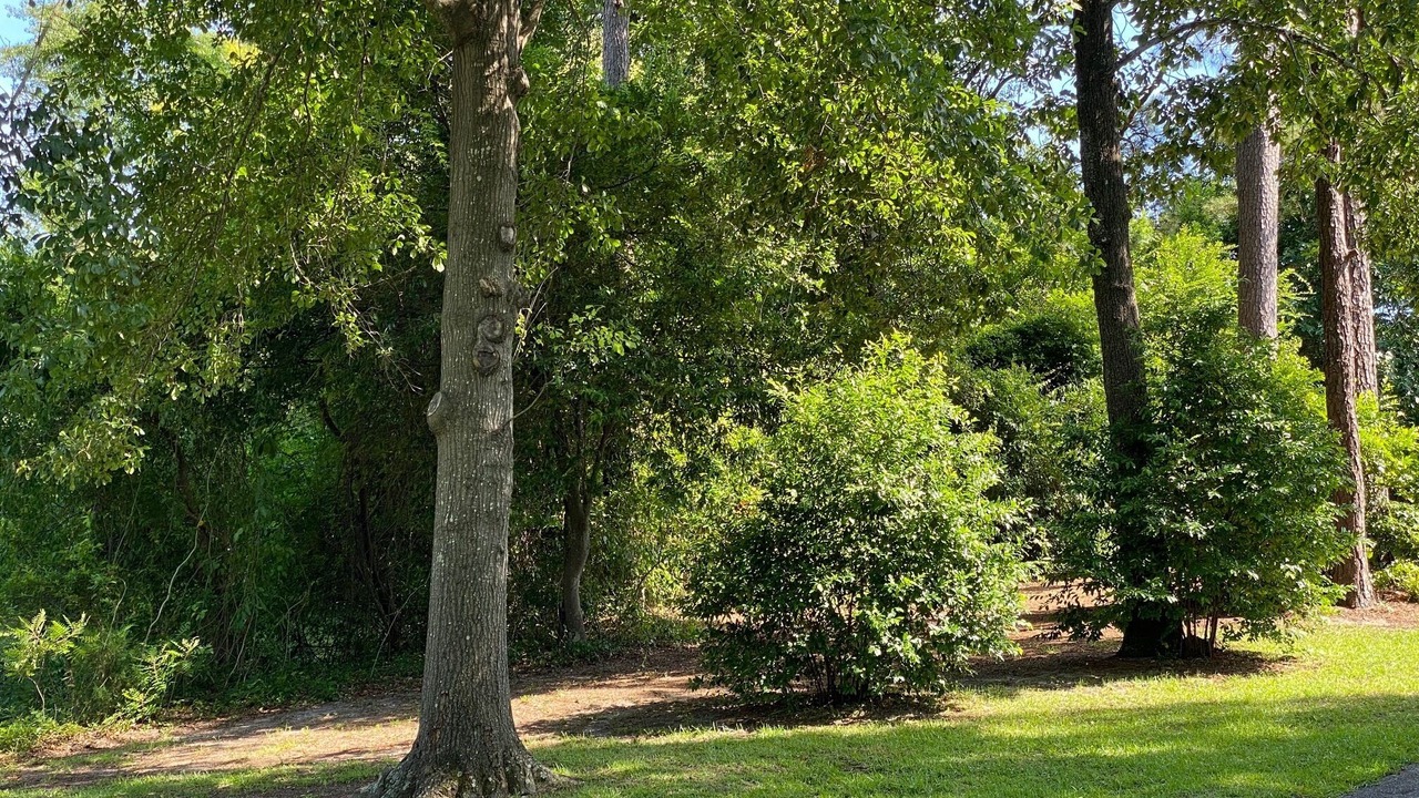 Photo of Outdoor in Lexington
