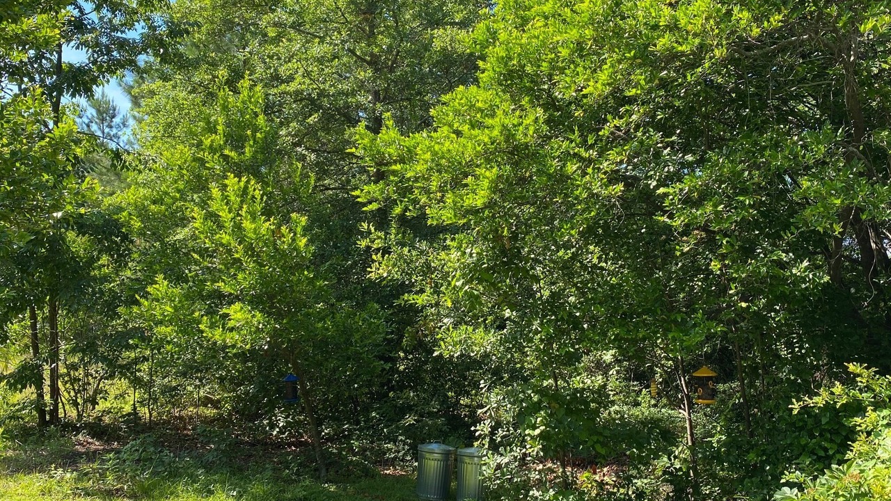 Photo of Outdoor in Lexington