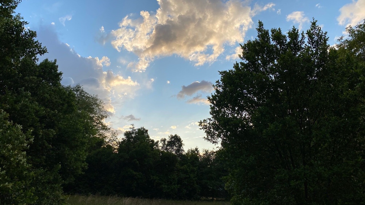 Photo of Outdoor in Lexington