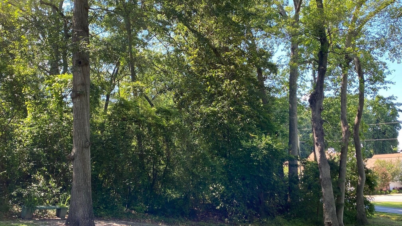 Photo of Outdoor in Lexington