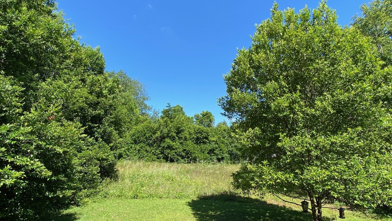 Photo of Outdoor in Lexington