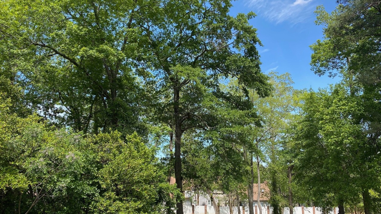 Photo of Outdoor in Lexington