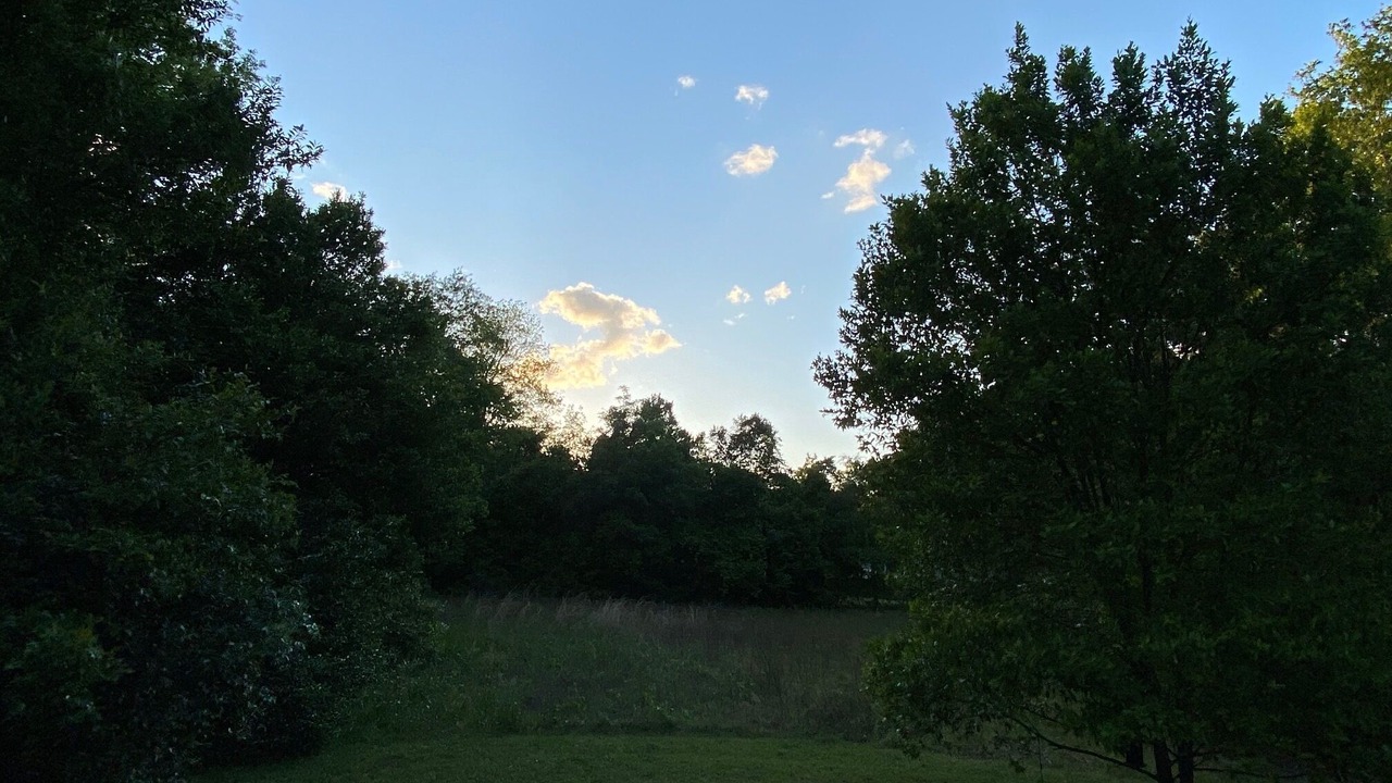 Photo of Outdoor in Lexington