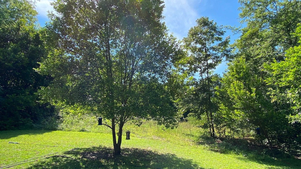 Photo of Outdoor in Lexington