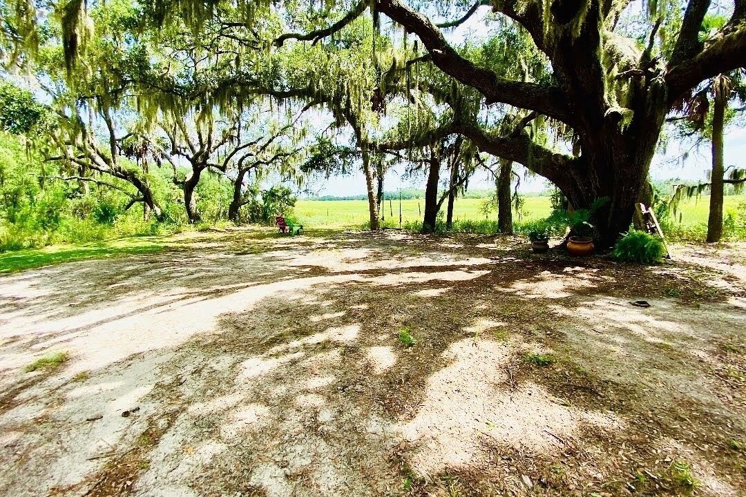 Photo of Outdoor in Saint Helena Island
