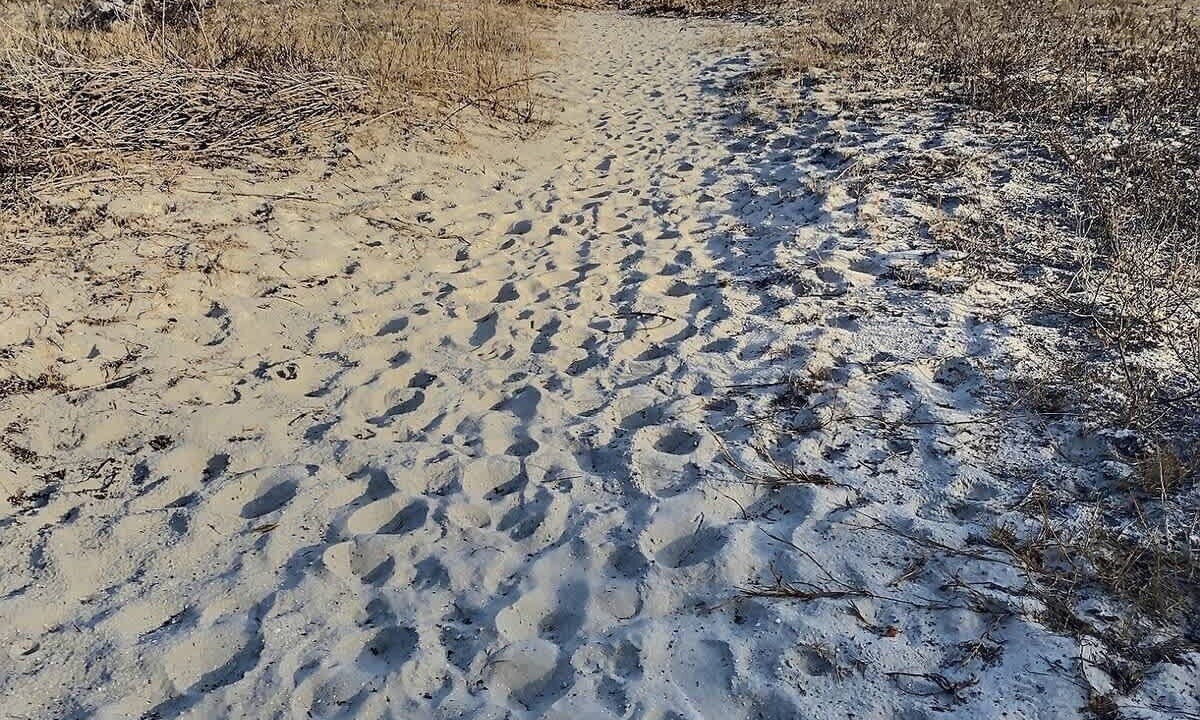 Photo of Others in Melrose on the Beach