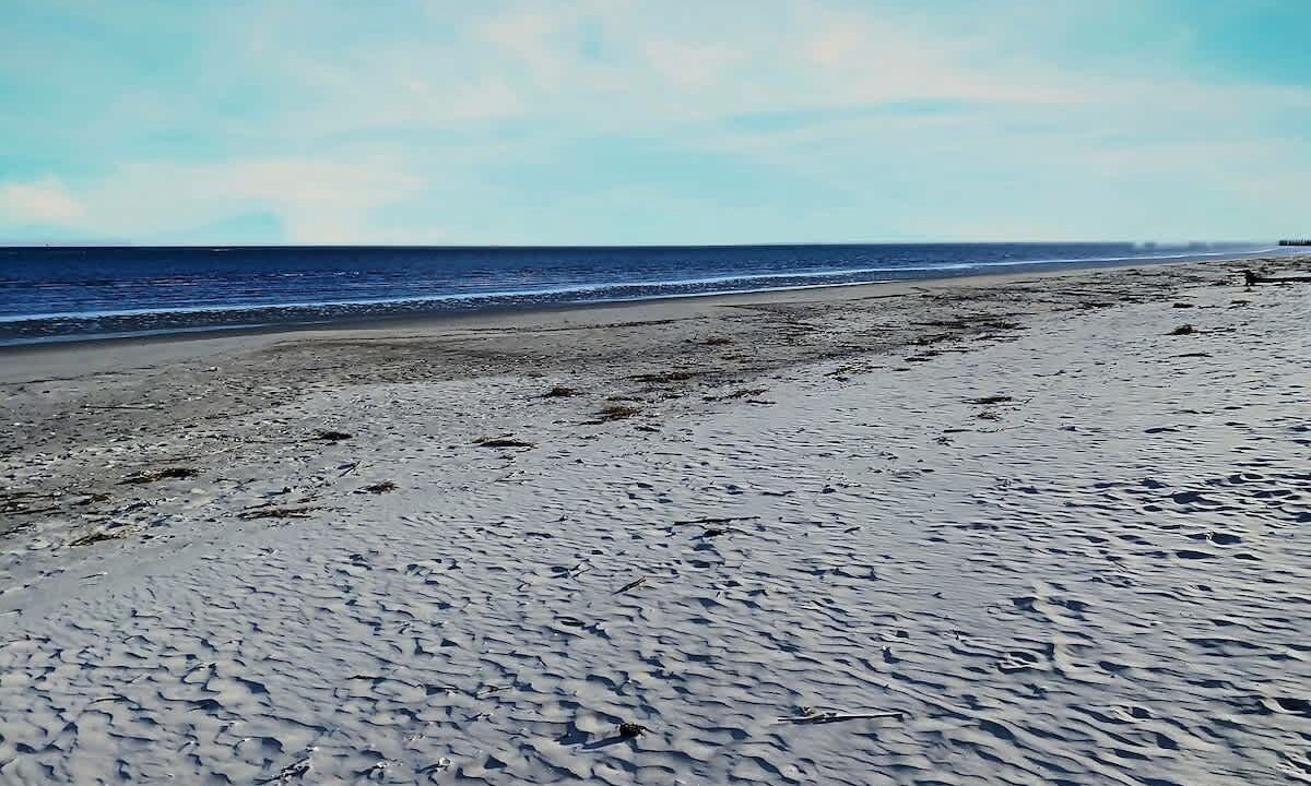 Photo of Others in Melrose on the Beach