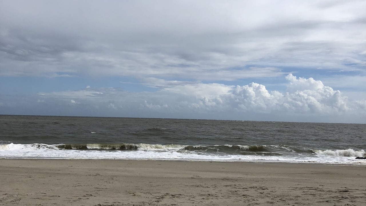 Photo of Others in Edisto Island