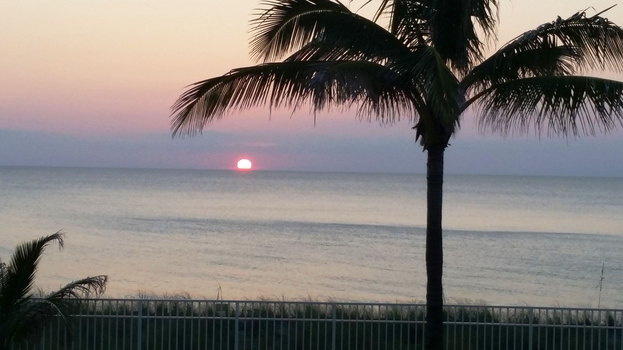 Photo of Others in Hutchinson Island South