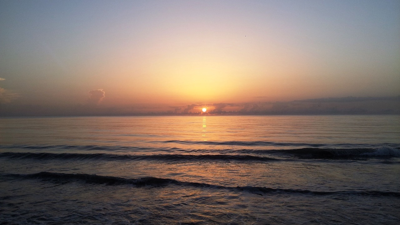 Photo of Others in Hutchinson Island South