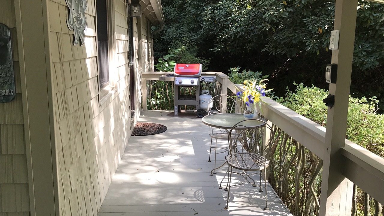 Photo of Outdoor in Pisgah Forest
