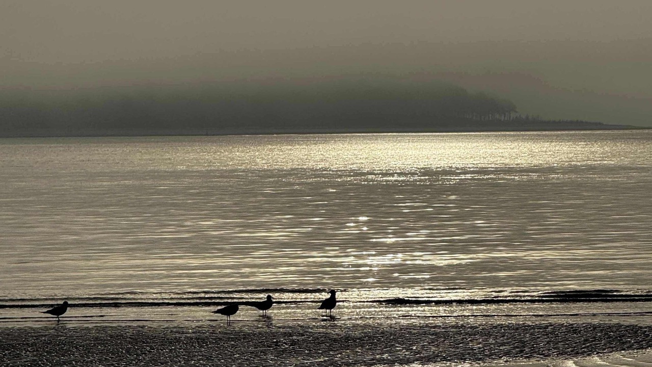 Photo of Others in Melrose on the Beach