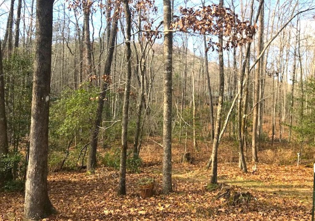 Photo of Outdoor in Cleveland