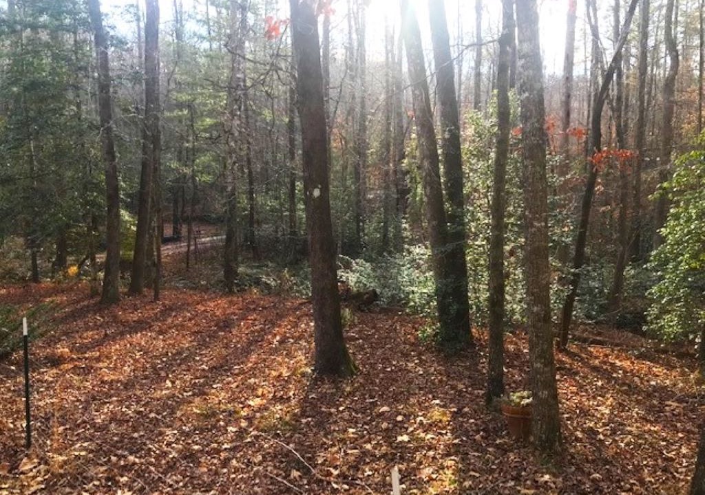 Photo of Outdoor in Cleveland