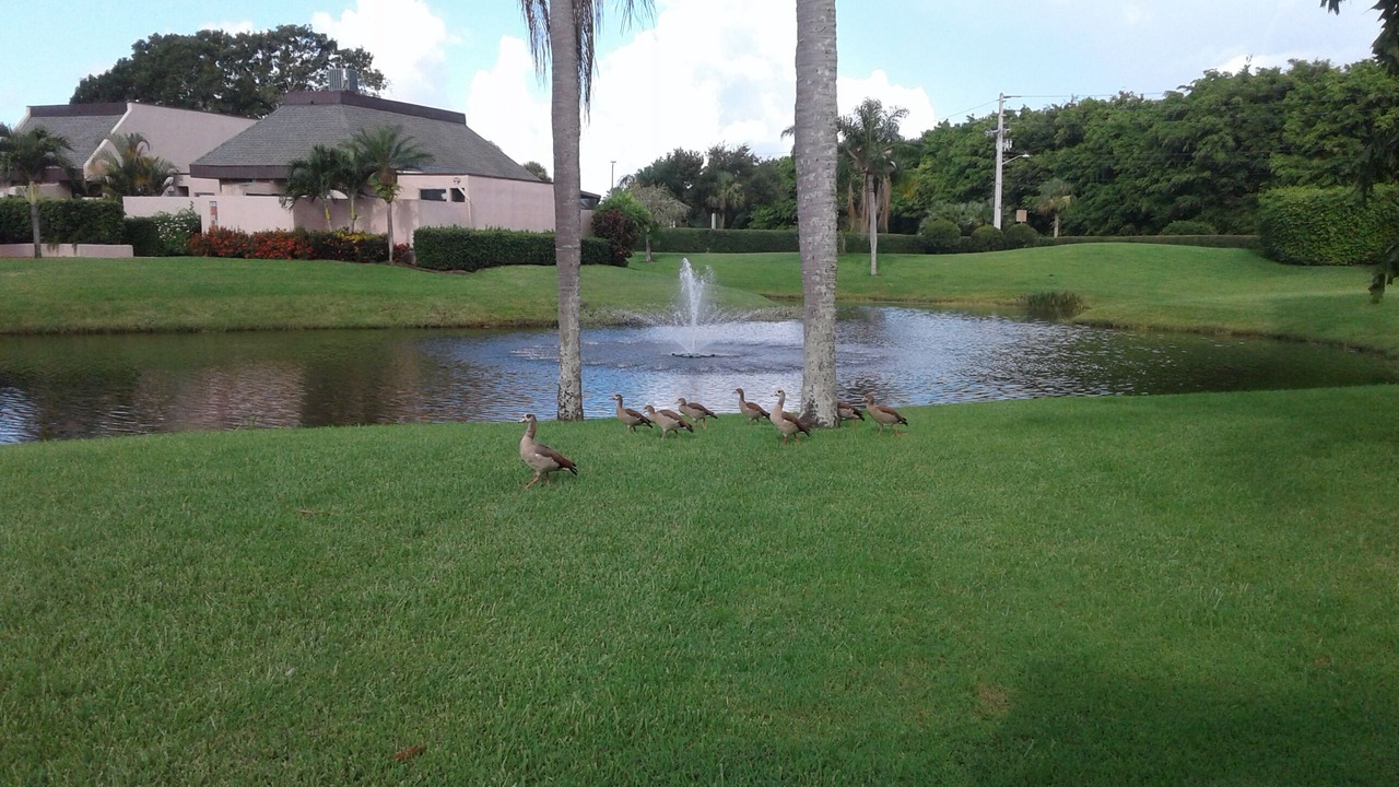 Photo of Outdoor in Port Saint Lucie