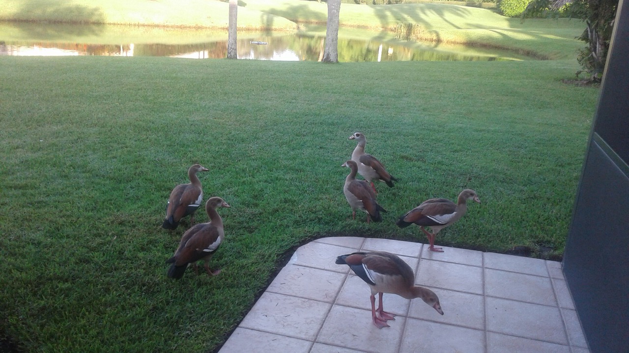 Photo of Outdoor in Port Saint Lucie