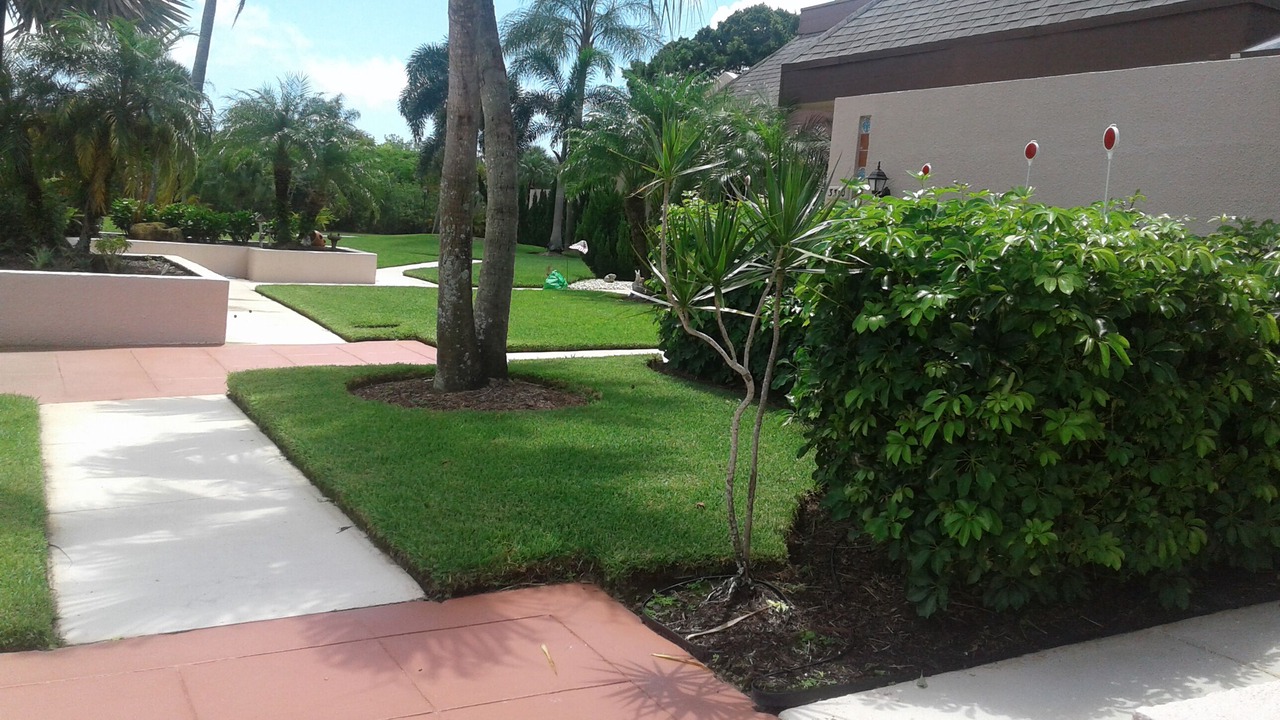 Photo of Outdoor in Port Saint Lucie