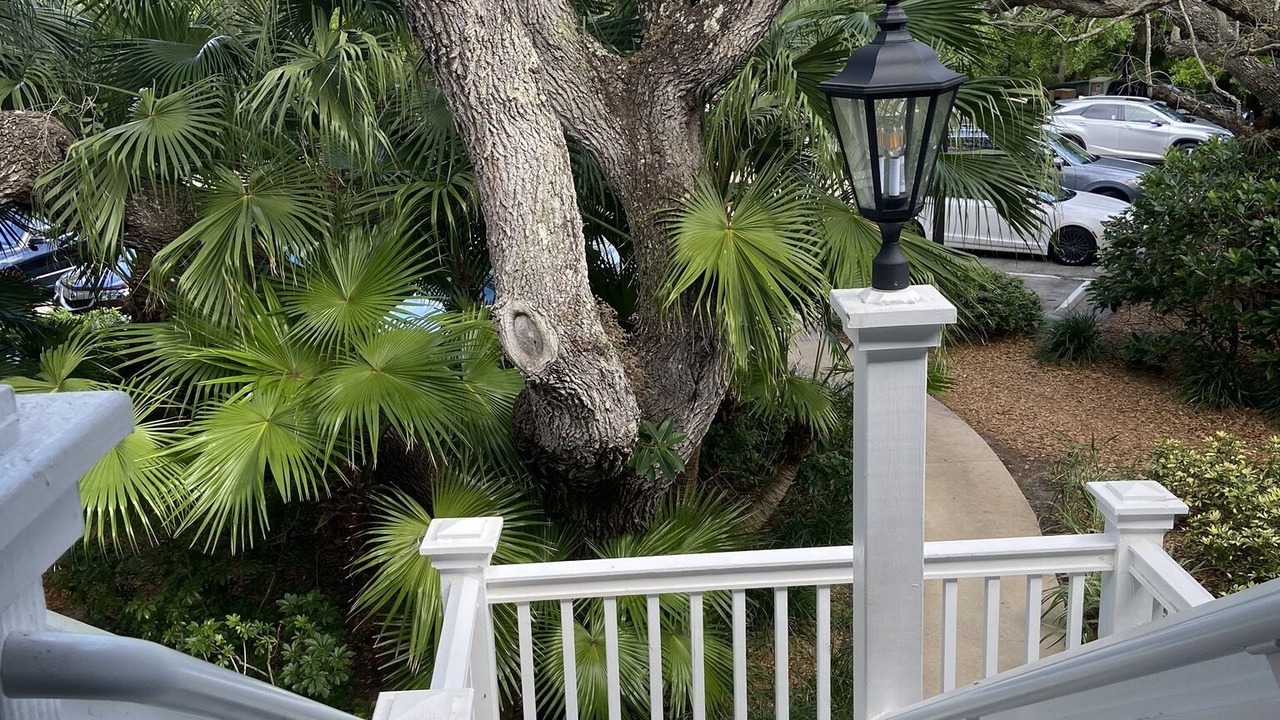 Photo of Outdoor in Wabasso Beach