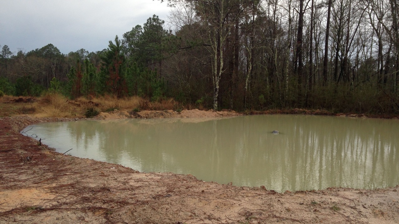 Photo of Outdoor in Baxley