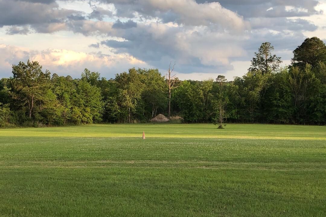 Photo of Others in Baxley