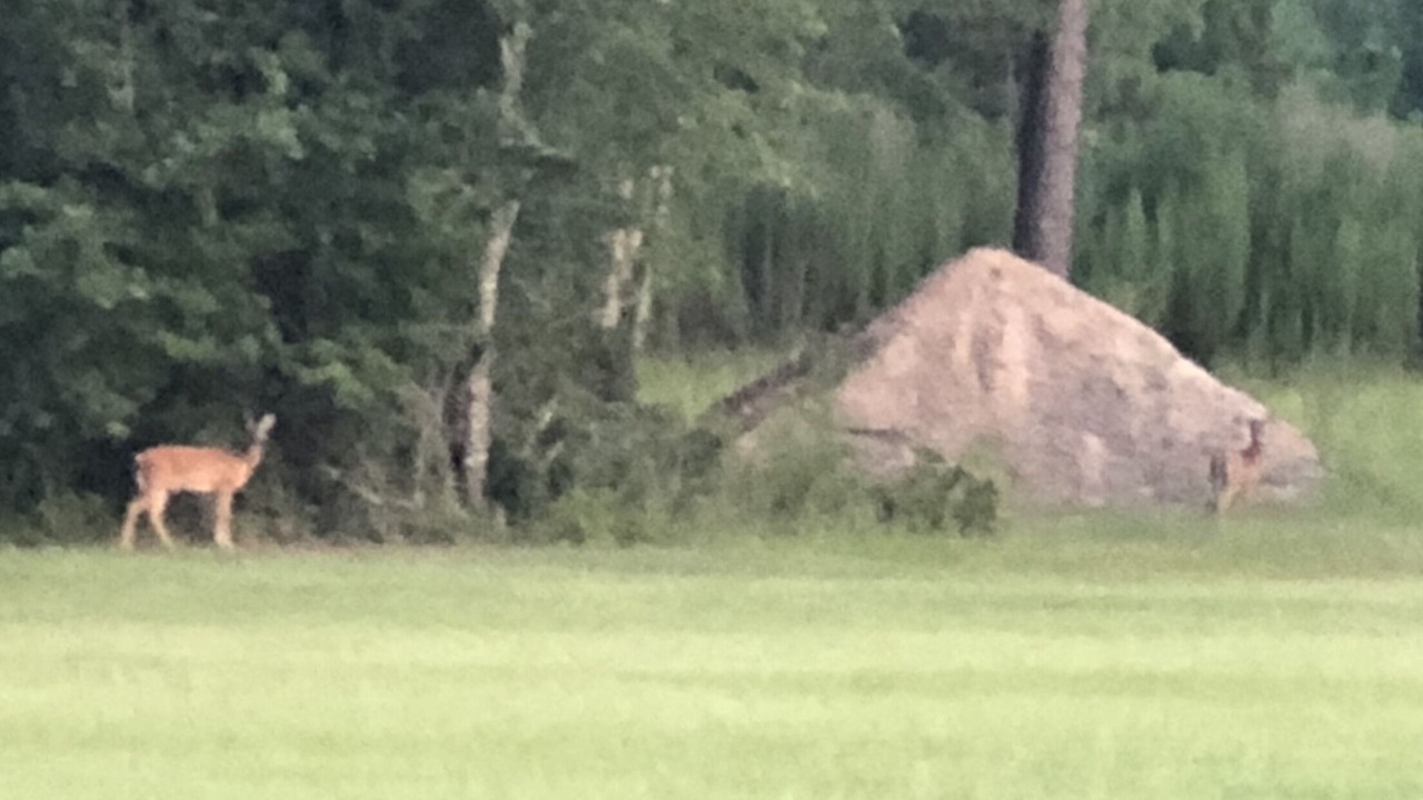 Photo of Others in Baxley