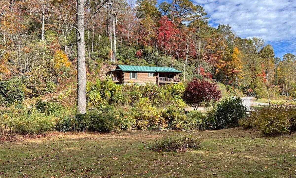 Photo of Outdoor in Pisgah Forest