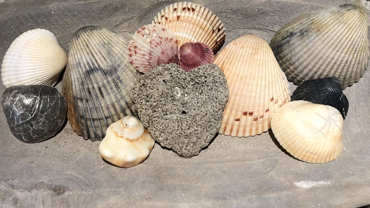 Photo of Others in Vero Beach
