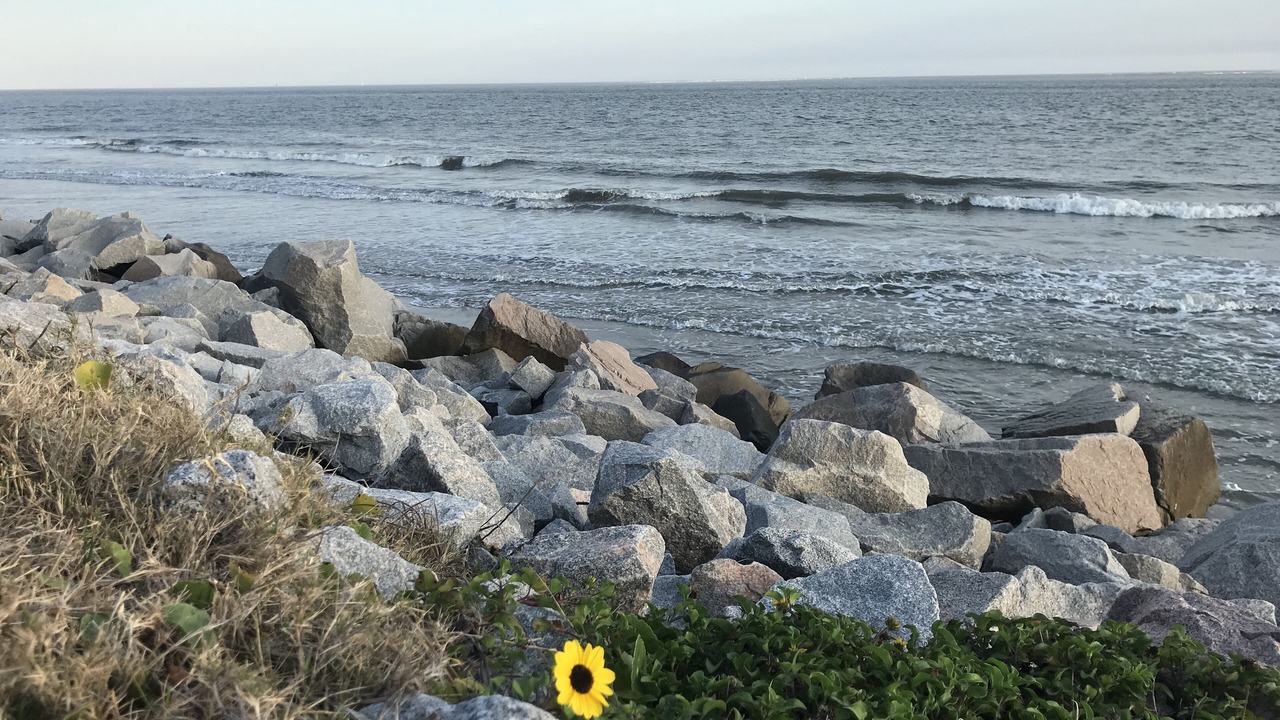 Photo of Others in Seabrook Island