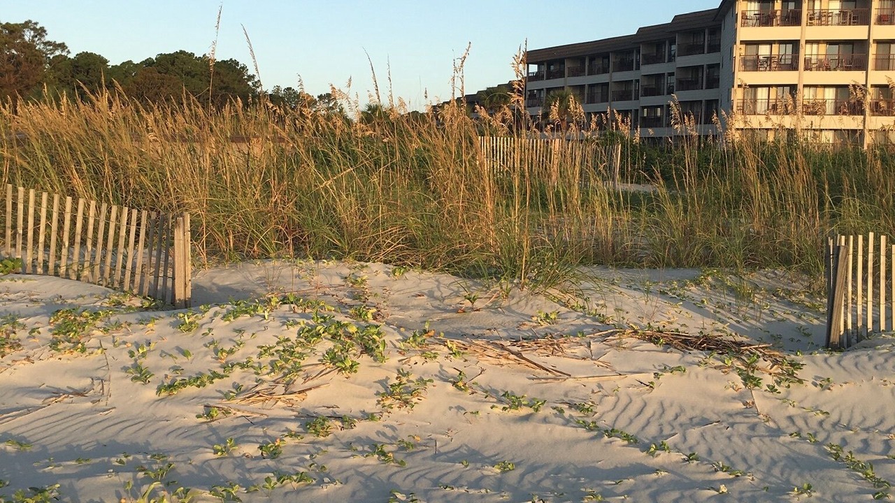 Photo of Others in Folly Field