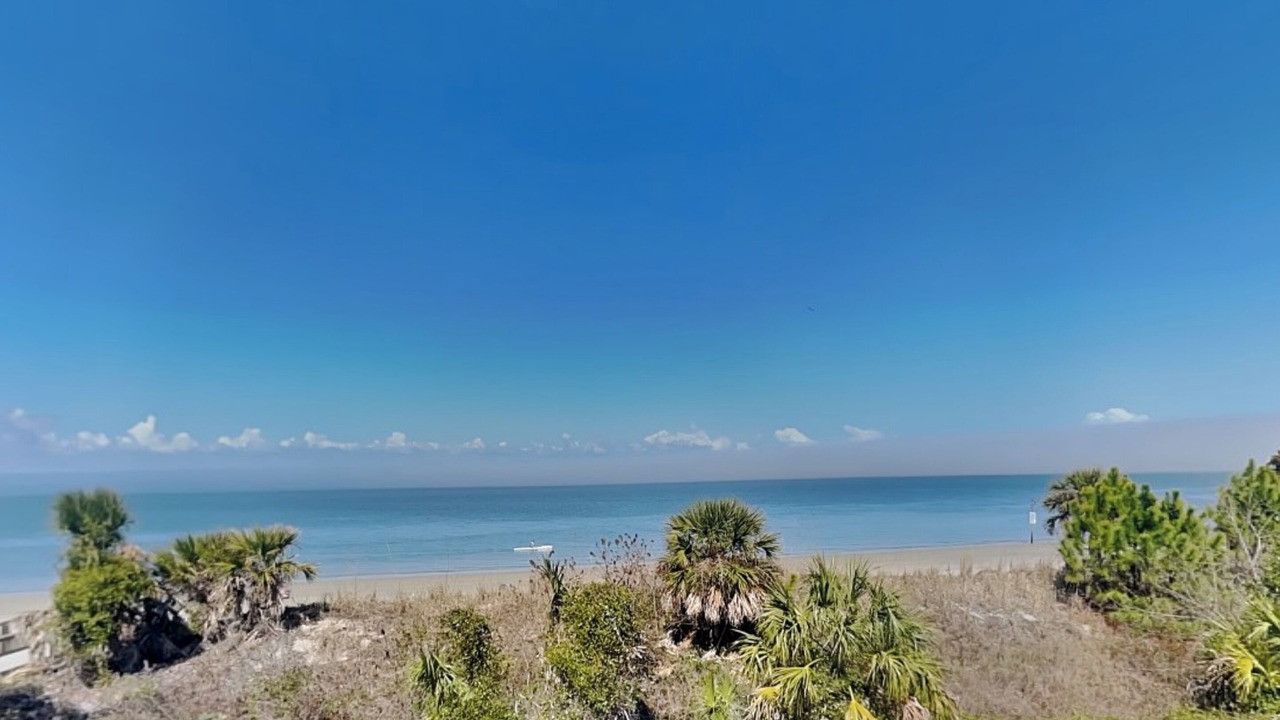 Photo of Others in Tybee Island
