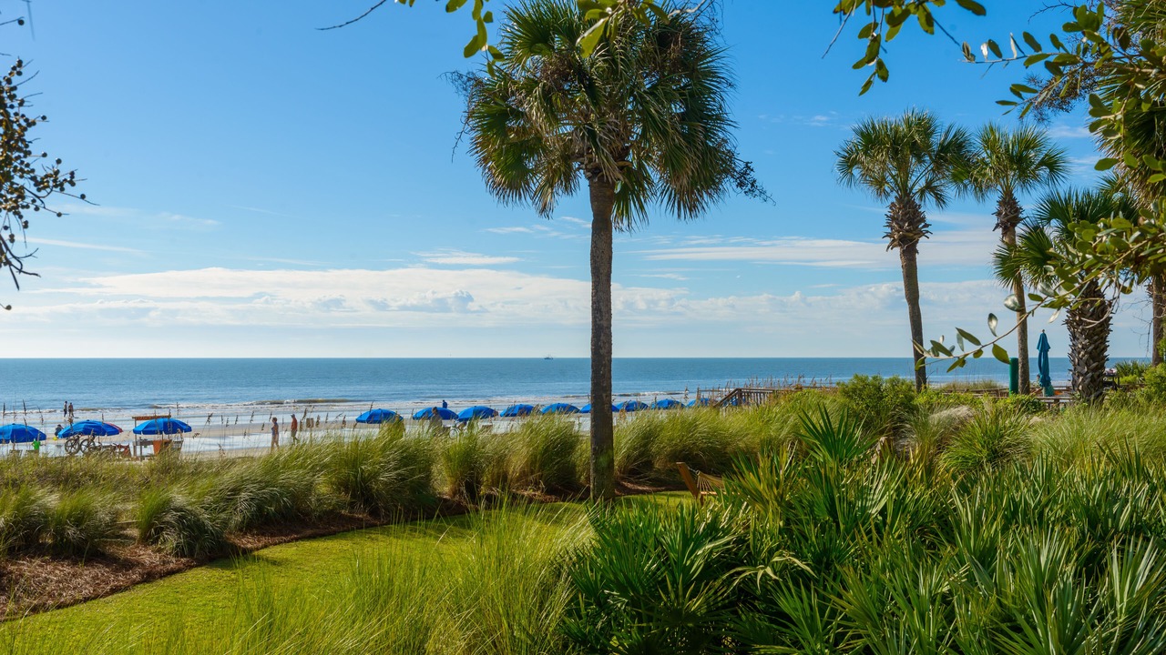 Photo of Others in Hilton Head Island
