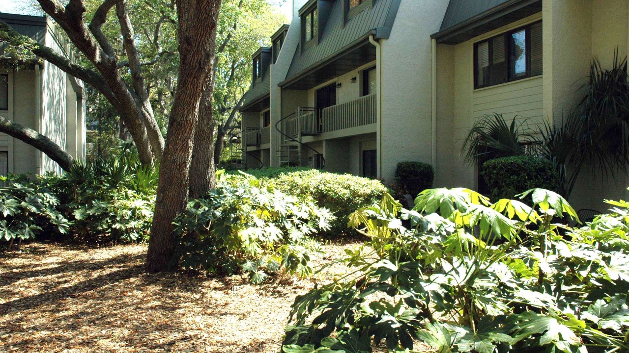 Photo of Outdoor in Hilton Head Island