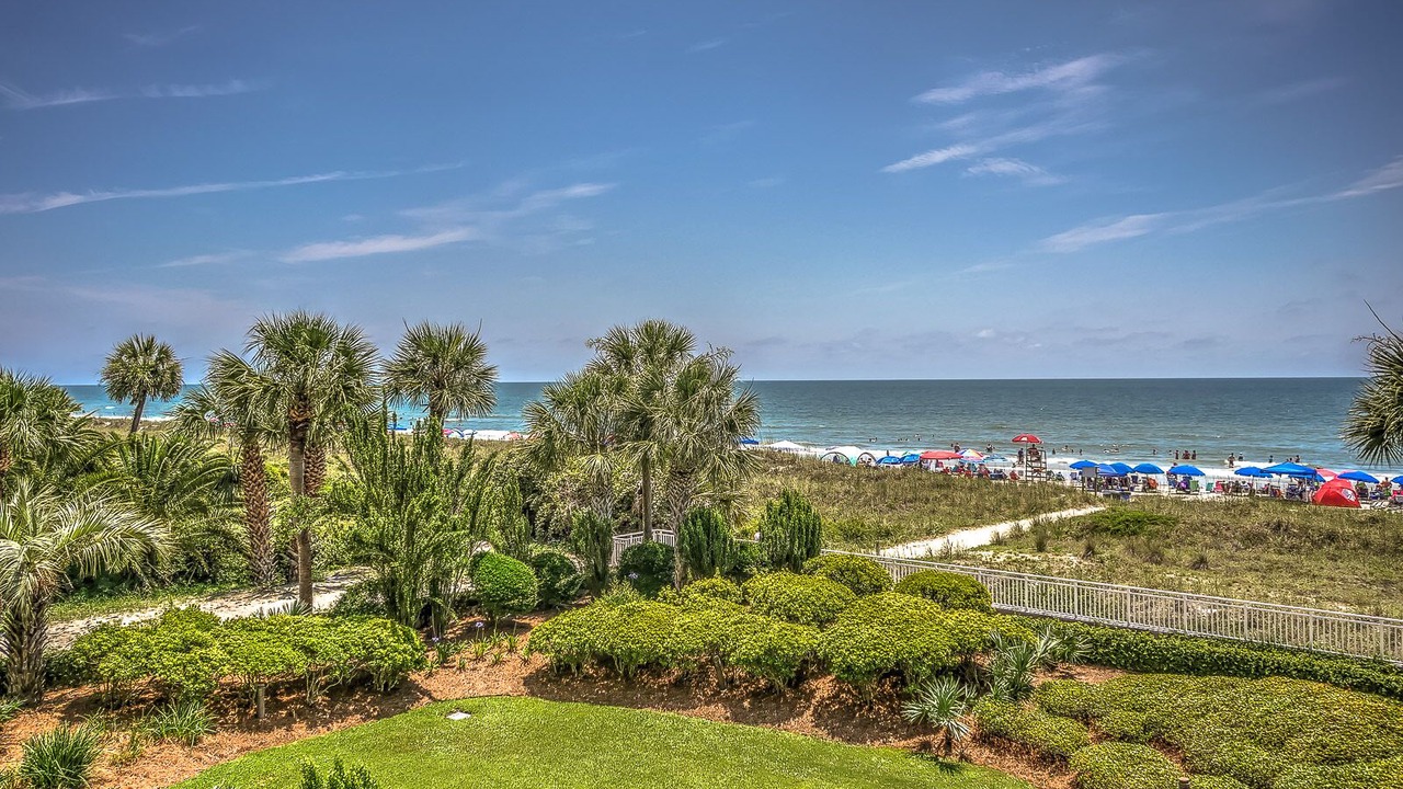 Photo of Others in North Forest Beach