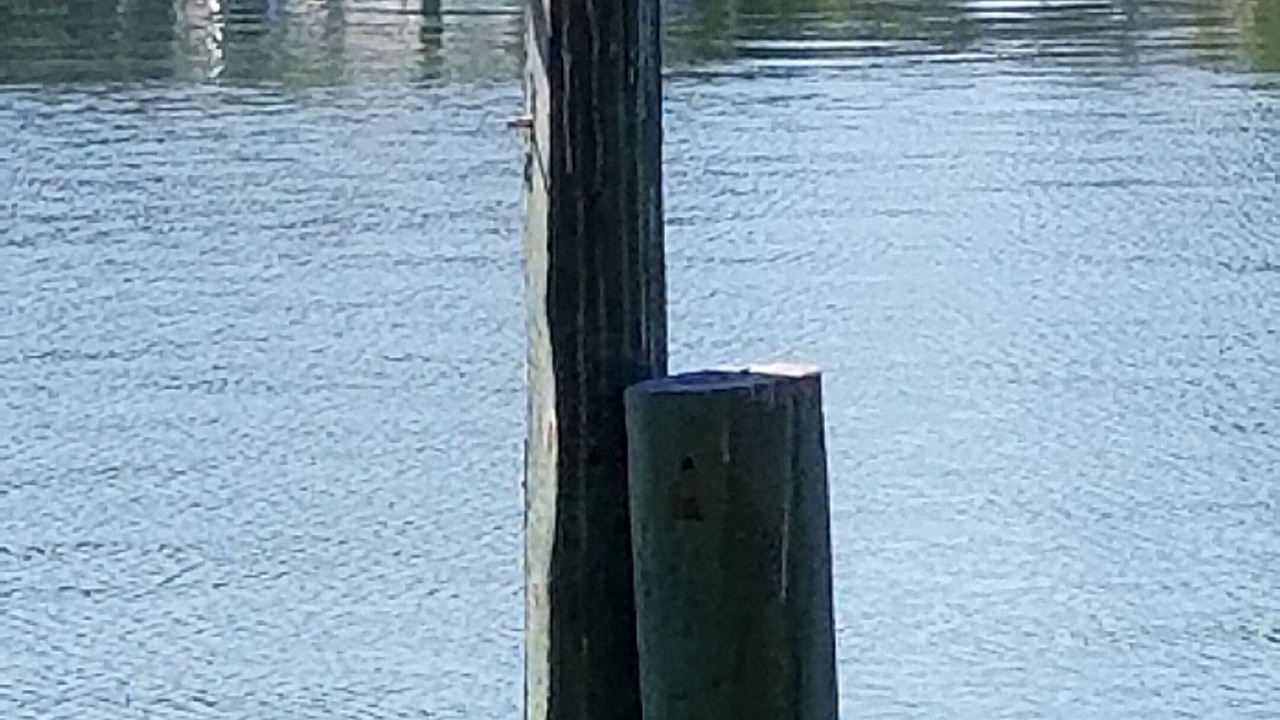 Photo of Outdoor in Sunset Beach