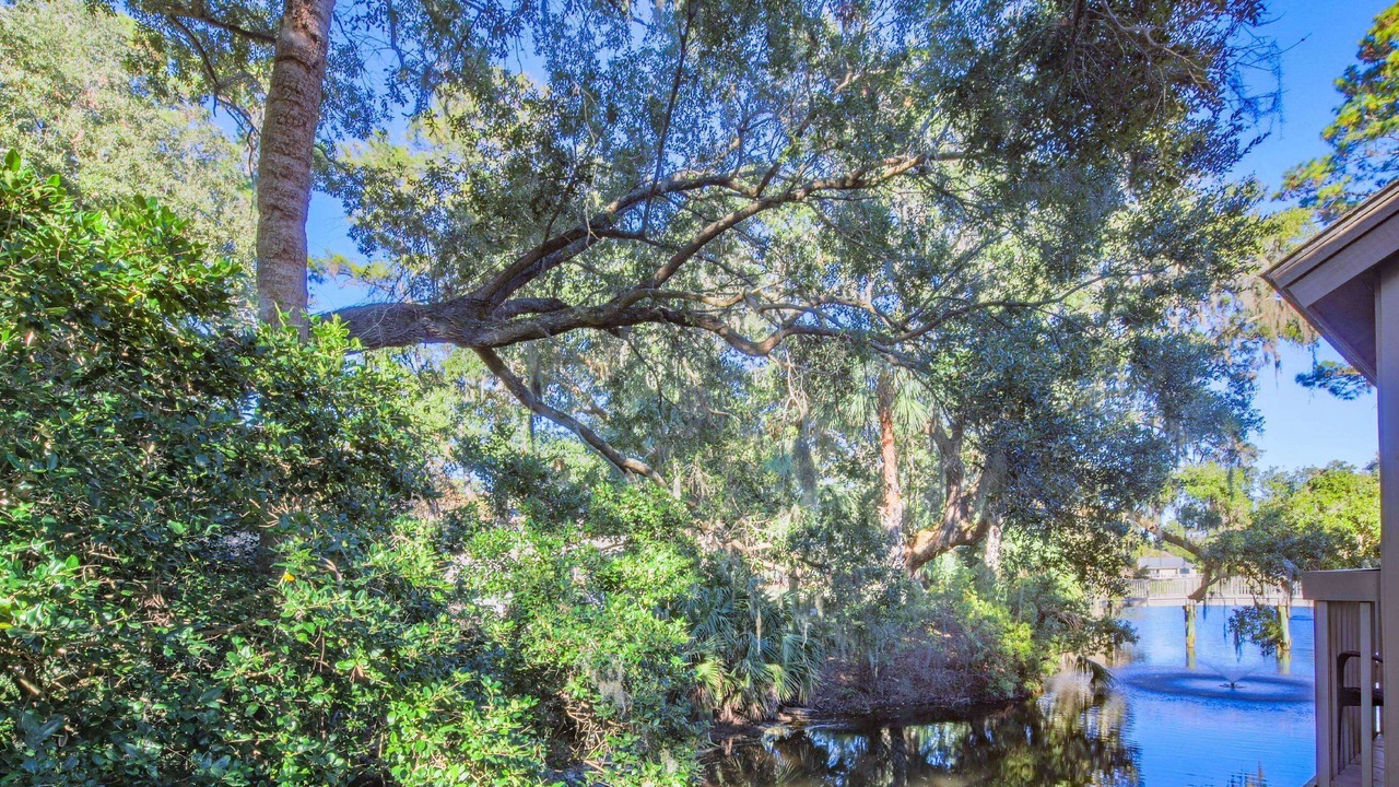 Photo of Others in Sea Pines